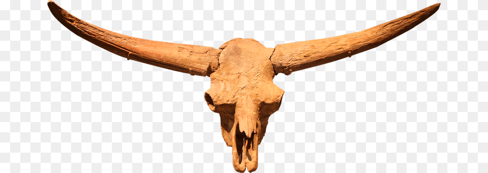 Bison Latifrons Animal, Blade, Bull, Dagger Png