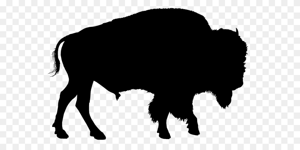 Bison Silhouette Buffalo Animal Photos Farm And Forest, Nature, Night, Outdoors Free Png Download