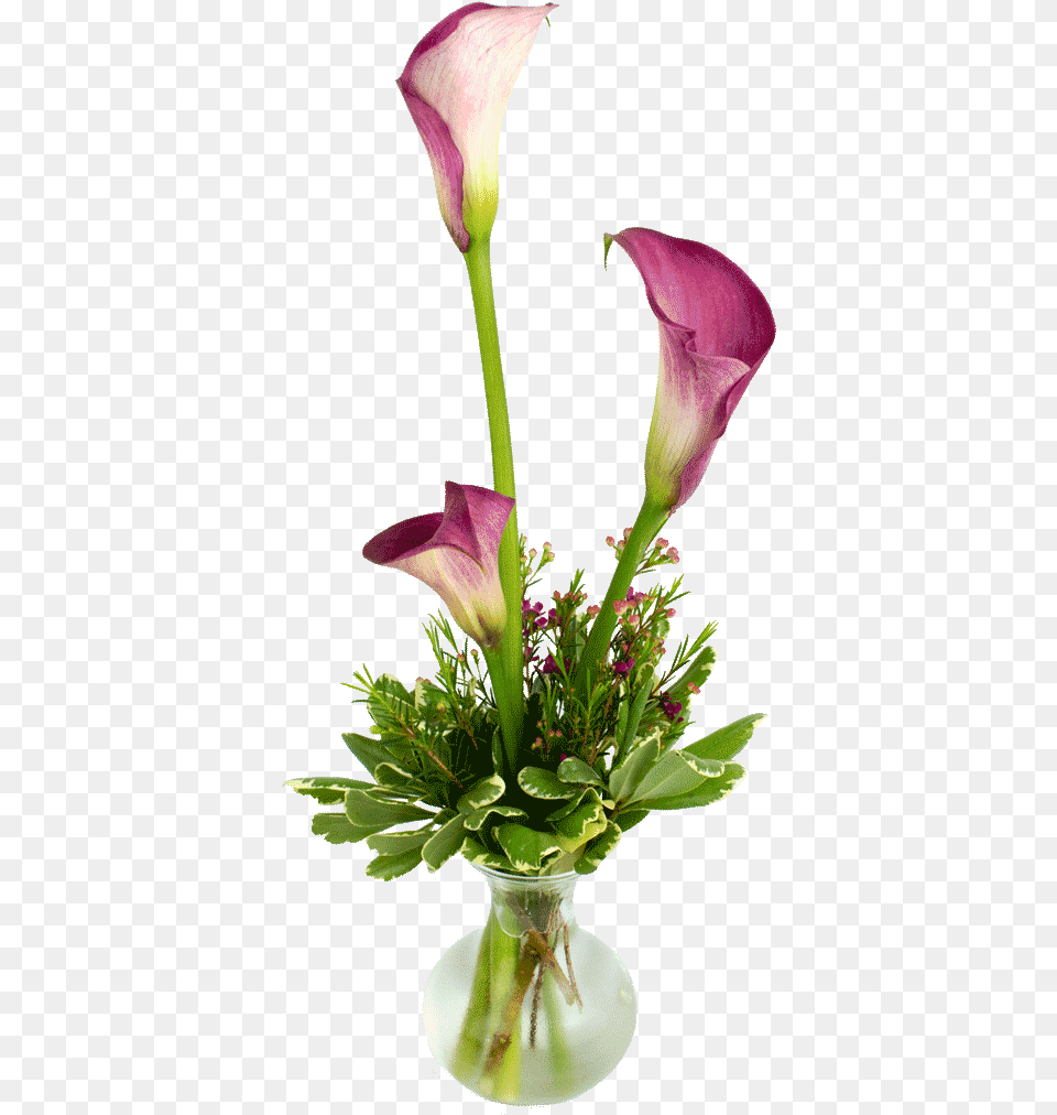 Bistro Lilies Perfect To Flower Vase For Restaurant Table, Flower Arrangement, Flower Bouquet, Plant, Ikebana Png