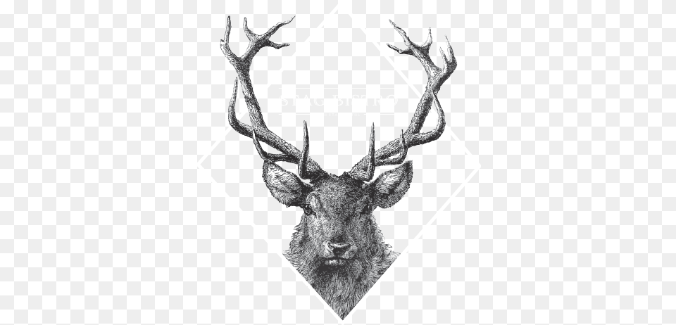 Bistro Lrg Logo, Animal, Deer, Mammal, Wildlife Png