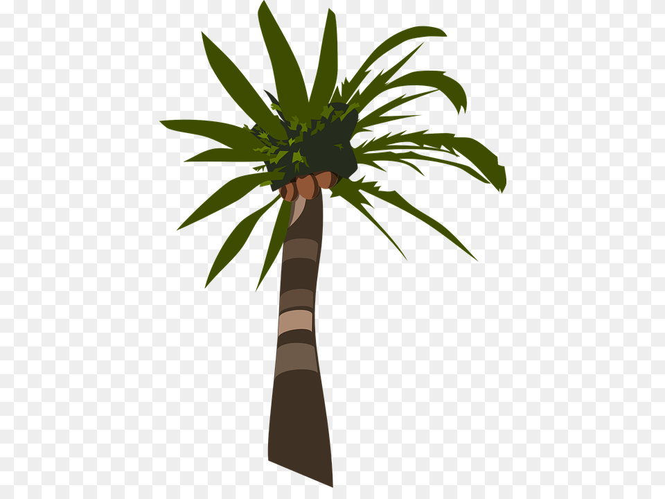 Bit Palm Tree For Download On Ya Webdesign, Palm Tree, Plant Free Transparent Png