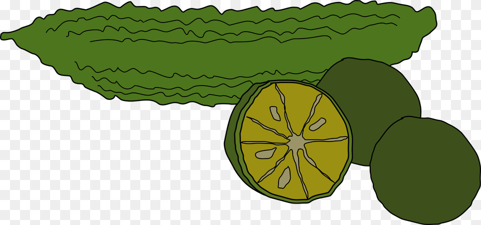 Bitter Gourd Clipart, Citrus Fruit, Food, Fruit, Lime Png