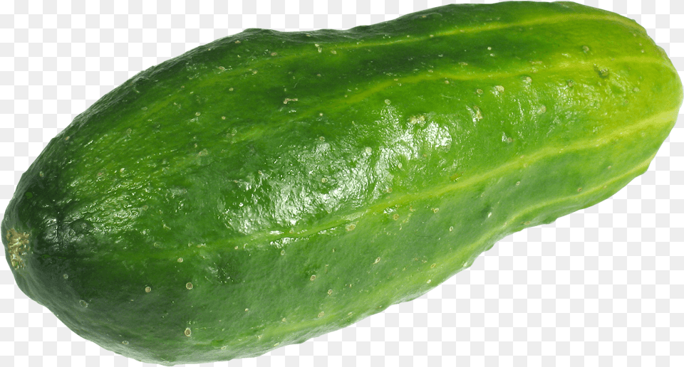 Bitter Gourd Clipart Cucumber Transparent Background, Food, Plant, Produce, Vegetable Png