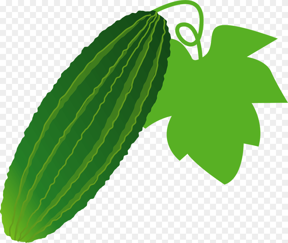 Bitter Melon Clipart, Cucumber, Food, Leaf, Plant Free Png Download