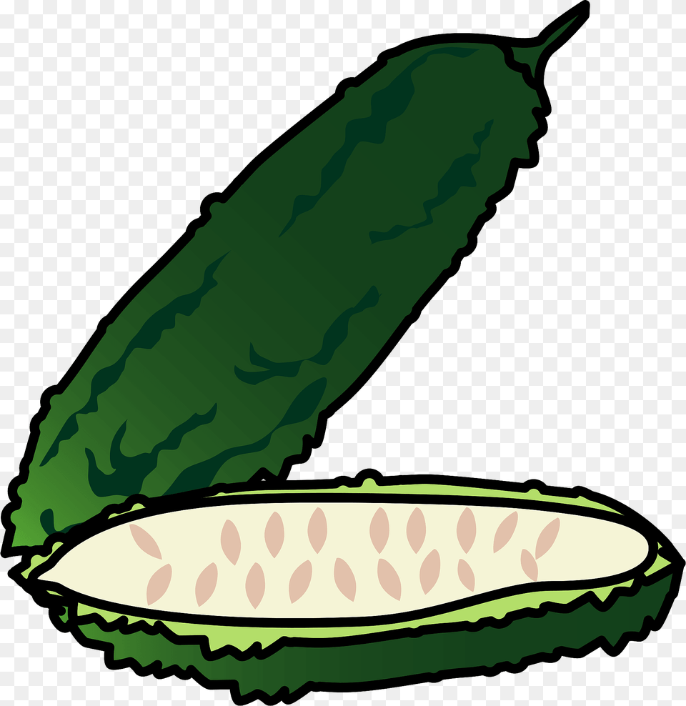 Bitter Melon Clipart, Cucumber, Food, Plant, Produce Png Image
