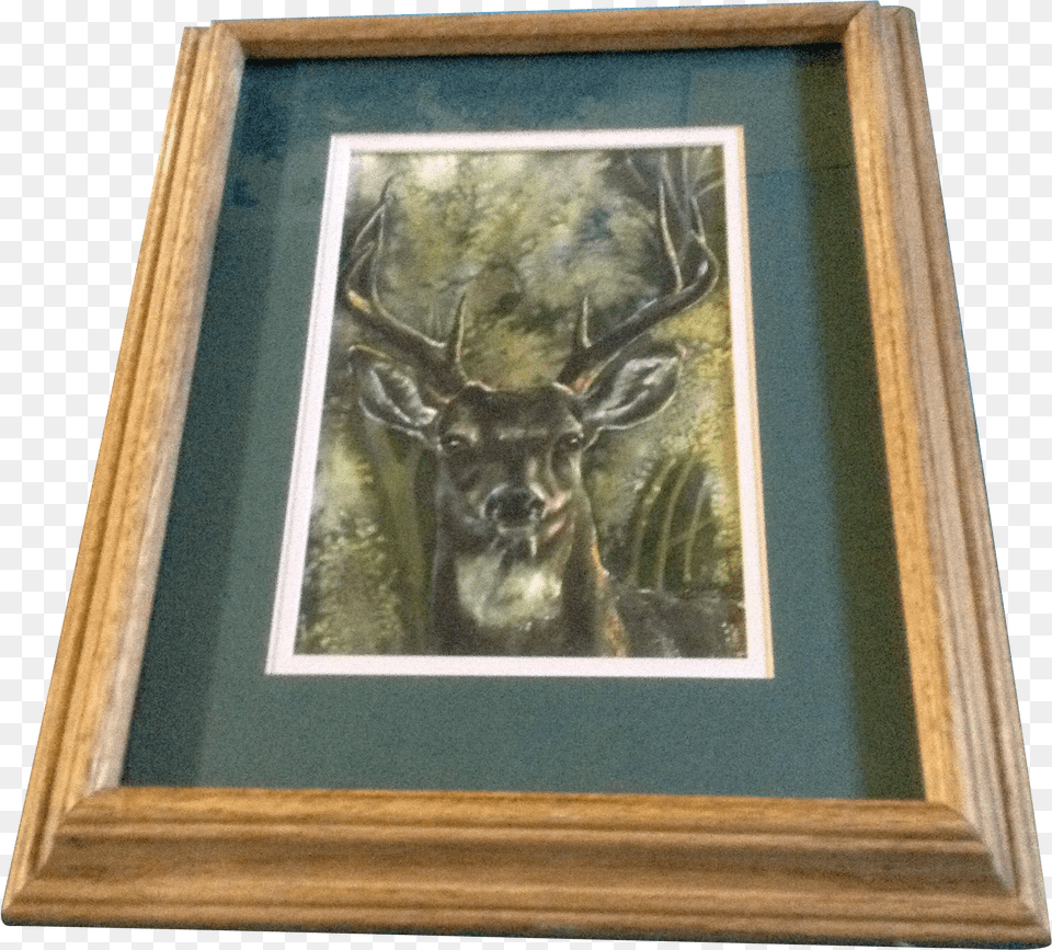 Bixby Buck With A Big Rack Deer Original Watercolor Picture Frame, Citrus Fruit, Food, Fruit, Lime Png Image