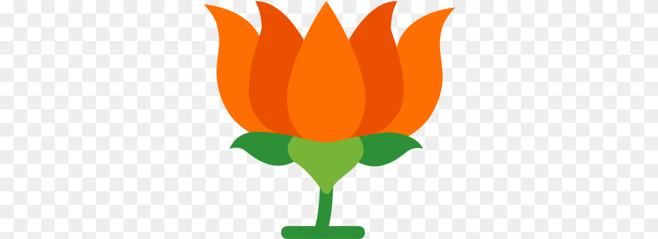 Bjp India Icon Banner Background Full Hd, Flower, Petal, Plant, Person Png