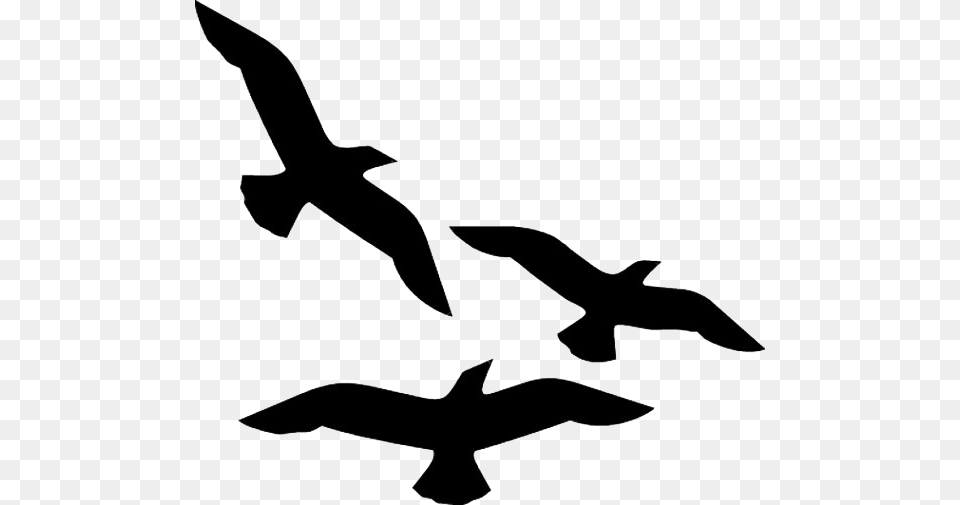 Bjuss E At A Prxima Clip Art Bird Flying, Animal, Silhouette, Fish, Sea Life Free Png