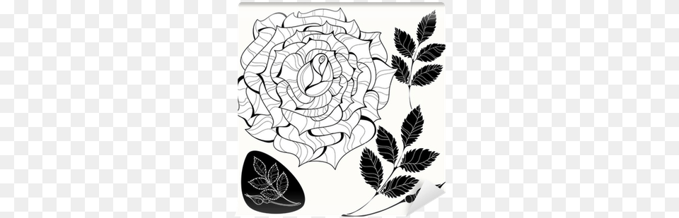 Black, Art, Drawing, Graphics, Floral Design Free Transparent Png