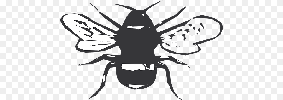 Black Animal, Bee, Insect, Invertebrate Free Png Download