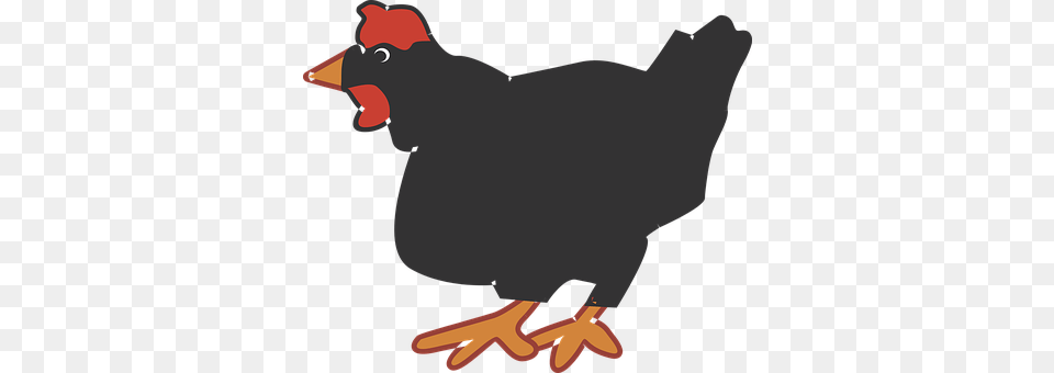 Black Animal, Bird, Chicken, Fowl Free Png Download