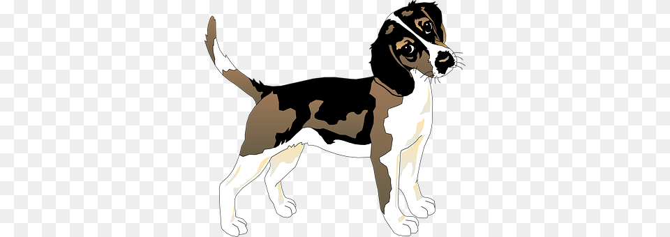 Black Animal, Canine, Dog, Hound Png Image