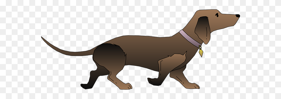 Black Hound, Animal, Canine, Dog Png Image