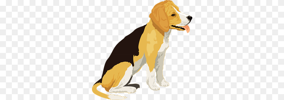 Black Animal, Canine, Dog, Hound Png Image