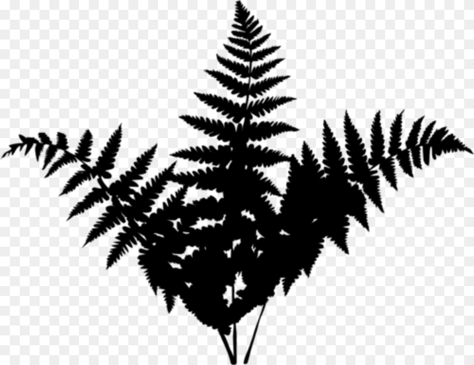 Black Amp White Forest Leaf Silhouette, Gray Free Png Download