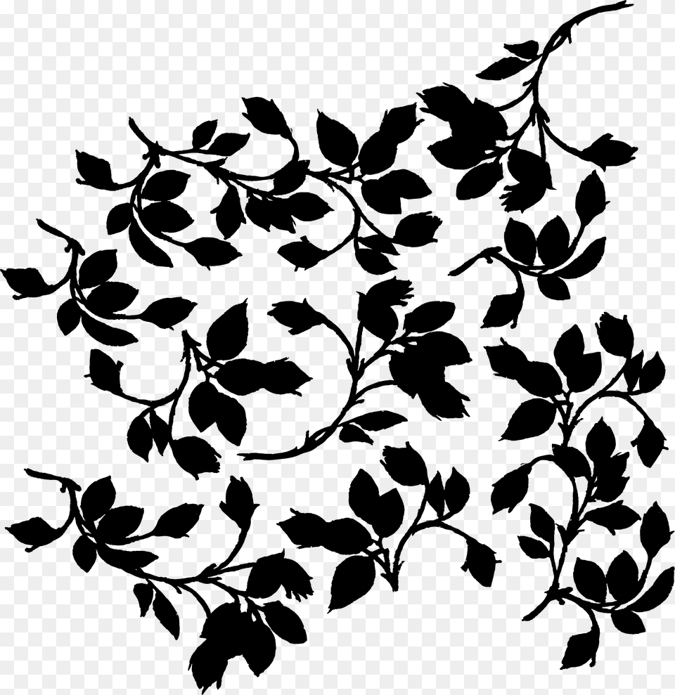 Black Amp White Leaves Black And White, Gray Free Png Download