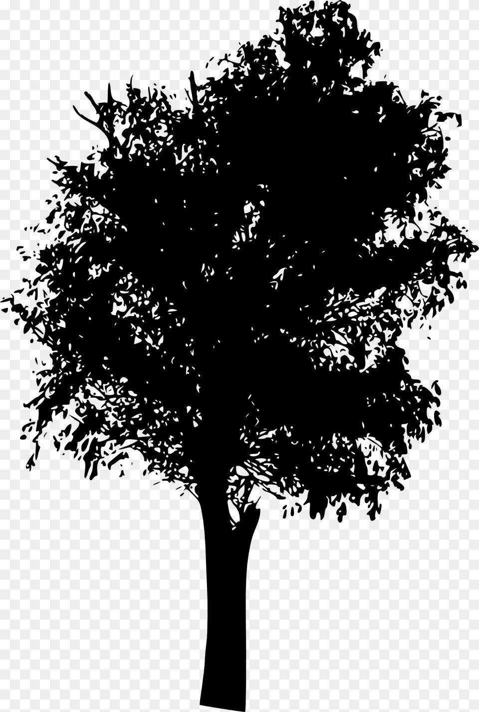 Black Amp White Oak Tree, Plant, Silhouette, Tree Trunk Png Image