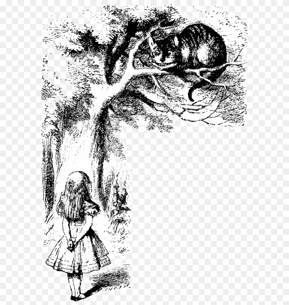 Black And Alice In Wonderland Lewis Carroll Illustrations, Art, Adult, Wedding, Person Free Png Download