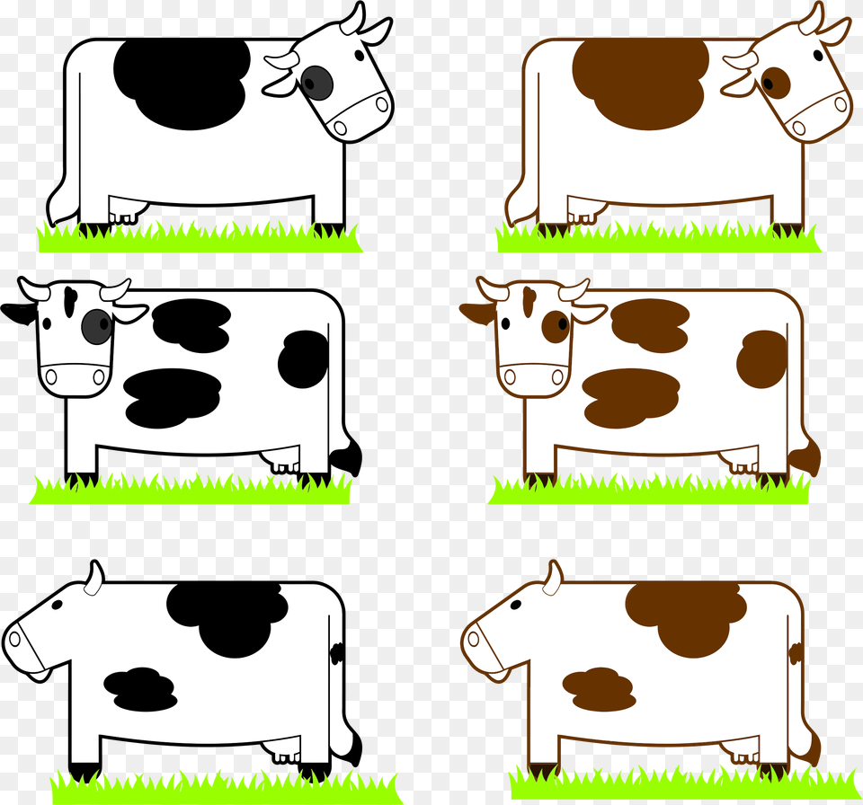 Black And Brown Cows With Grass, Animal, Cattle, Cow, Dairy Cow Free Png