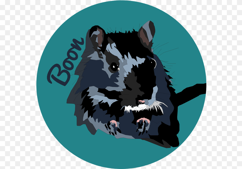 Black And Dark Grey Gerbil Graphic Rat, Animal, Mammal, Person Free Png Download