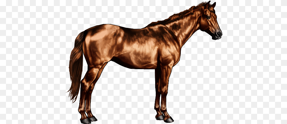Black And Grey Horse, Animal, Mammal, Stallion, Colt Horse Png