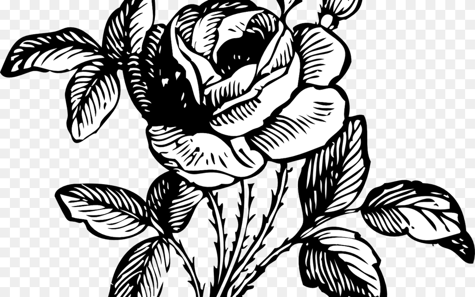 Black And Grey Roses Drawing At Getdrawingscom Flower Bouquet Black And White, Art, Pattern, Graphics, Floral Design Free Transparent Png