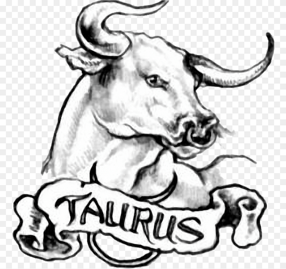 Black And Grey Taurus Head With Banner Tattoo Design Taurus Tattoo, Animal, Bull, Cattle, Livestock Png Image