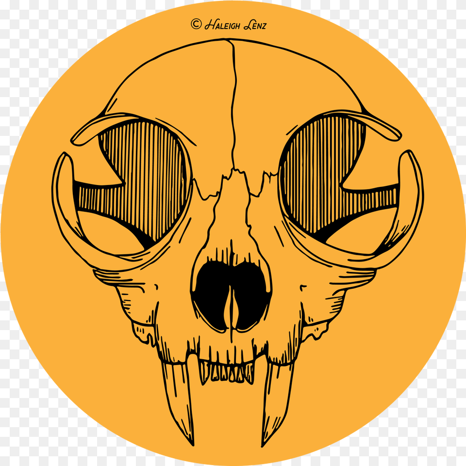 Black And Orange Cat Skull Vector Art Cat Skull Vector, Person, Logo Free Transparent Png