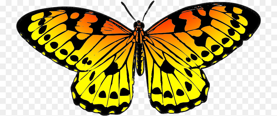 Black And Orange Drawing Of Butterfly Butterfly Clipart Green, Animal, Insect, Invertebrate, Monarch Png Image