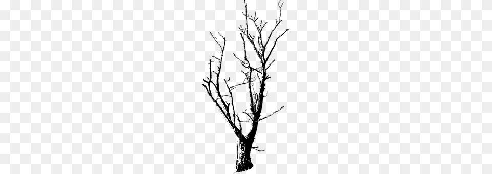 Black And White Plant, Tree, Art, Chandelier Free Png Download