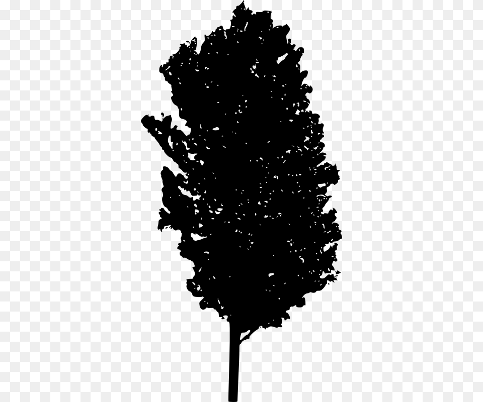 Black And White Acorn Tree, Gray Free Png