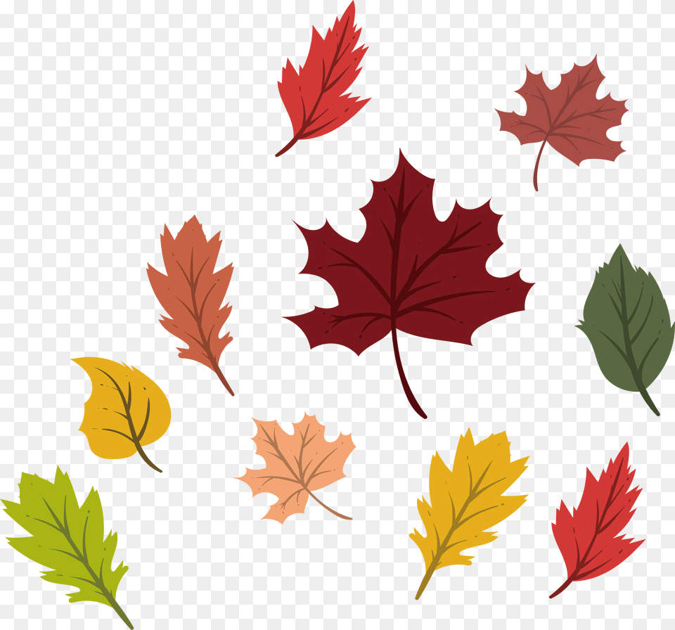 Black And White Autumn Vector Colorful Leave Leaf Autumn Vector, Plant, Tree, Maple Leaf Free Png