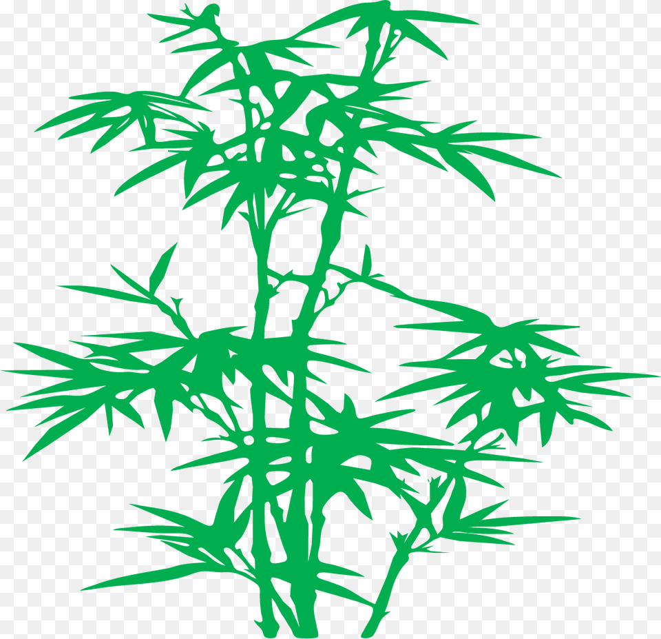 Black And White Bamboo Design, Plant Free Png