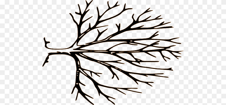 Black And White Bare Tree Clipart, Leaf, Plant, Herbal, Herbs Free Png Download