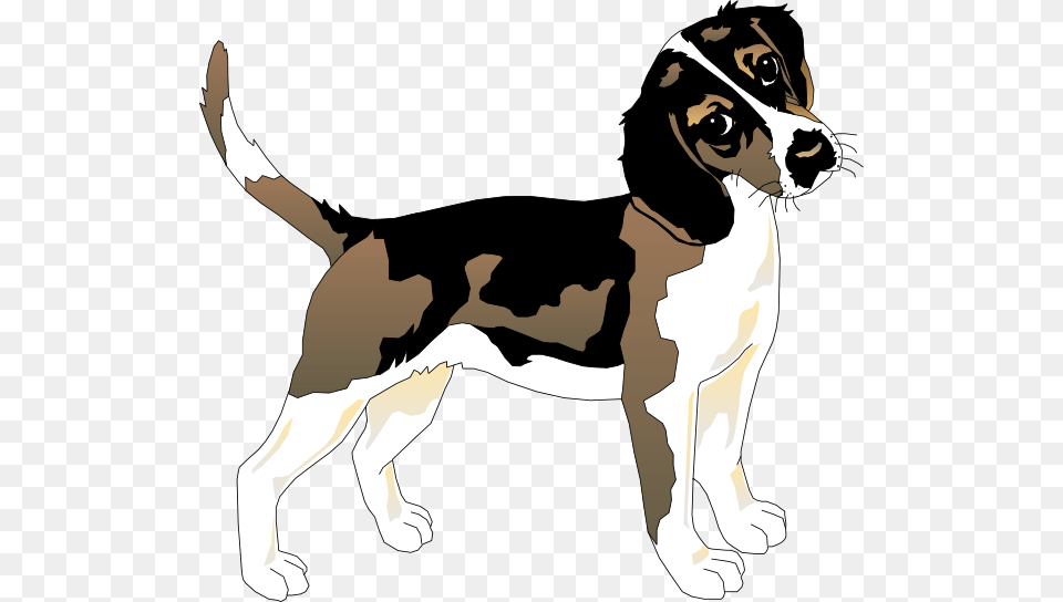 Black And White Beagle Clip Art, Animal, Canine, Dog, Hound Png