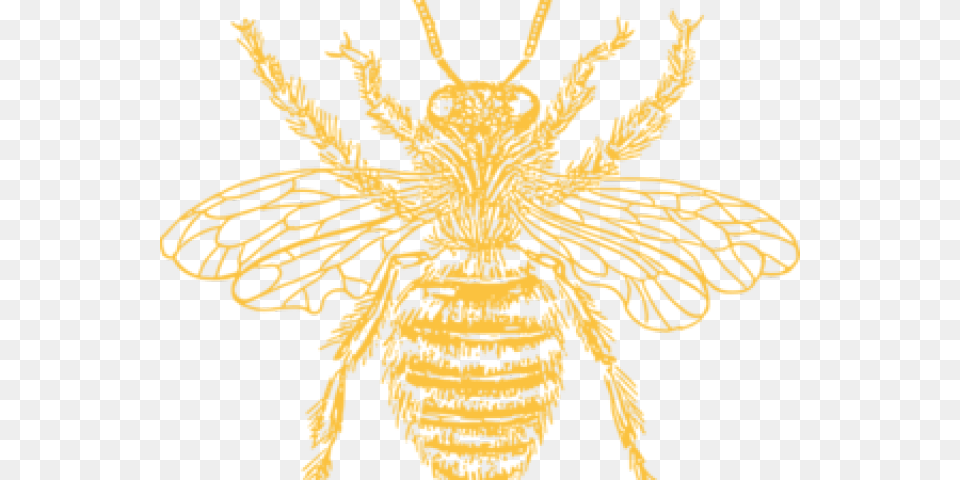 Black And White Bee Print, Animal, Wasp, Invertebrate, Insect Free Png