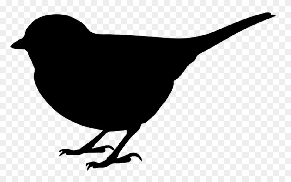 Black And White Bird Outline Hot Trending Now, Animal, Blackbird, Silhouette, Kangaroo Png Image