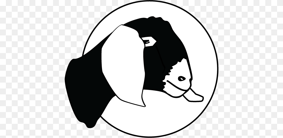 Black And White Boer Panda Images Boergoathead Goat, Stencil, Adult, Female, Person Free Transparent Png