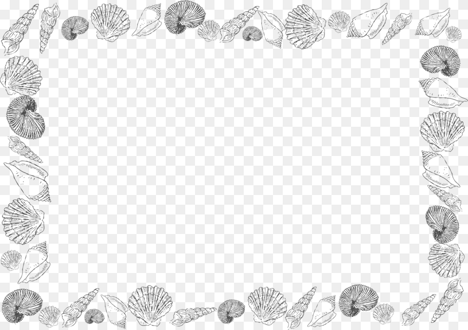 Black And White Borders Black And White Seashell Border Clipart, Accessories Free Png Download