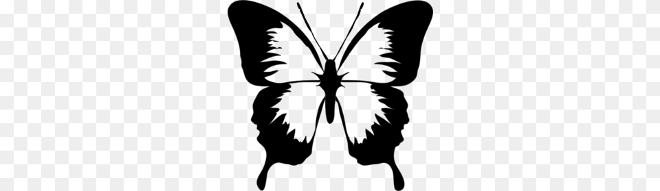 Black And White Butterfly Clip Art Rocks White, Stencil, Silhouette, Person, Flower Png