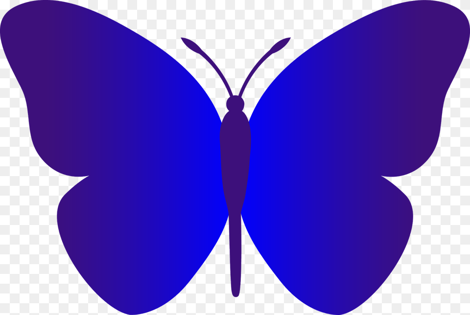 Black And White Butterfly Outline Butterfly Simple Blue Cartoon, Animal, Insect, Invertebrate, Purple Free Png Download