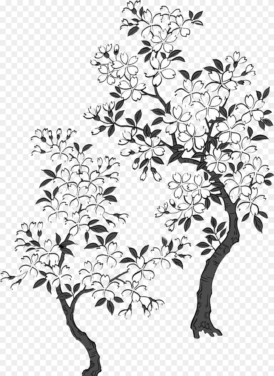 Black And White Cherry Blossom Black And White Sakura Tree, Art, Floral Design, Graphics, Pattern Free Png Download