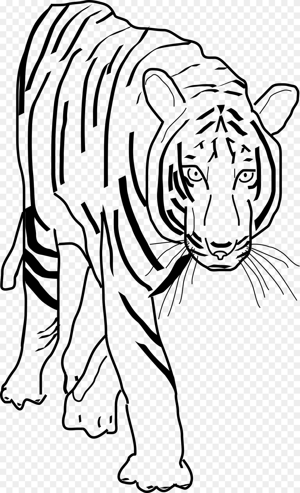 Black And White Clipart Best Beobbf Clipart Anonymous Transparent Tiger Clipart Black And White, Gray Free Png Download