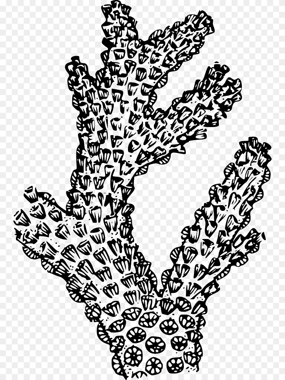 Black And White Coral, Art, Doodle, Drawing, Stencil Png Image