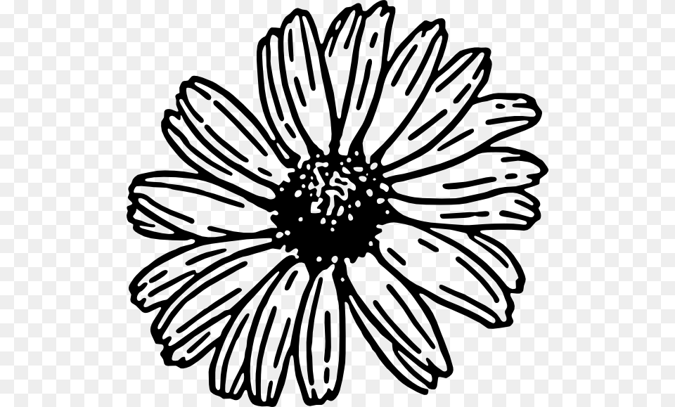 Black And White Daisy Clip Art, Flower, Plant, Chandelier, Lamp Free Png Download