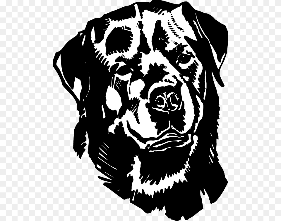 Black And White Decals Rottweiler, Stencil, Person, Adult, Male Free Transparent Png