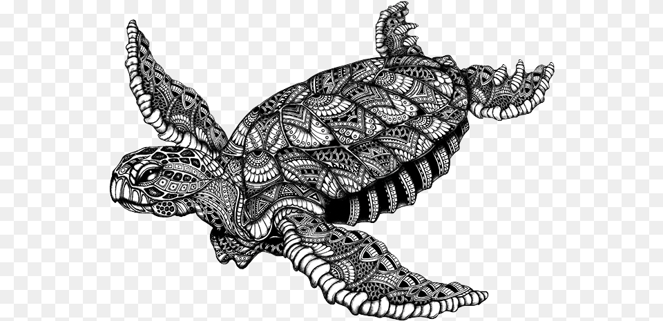 Black And White Designed Sea Turtle, Art, Drawing, Person, Skin Free Png Download