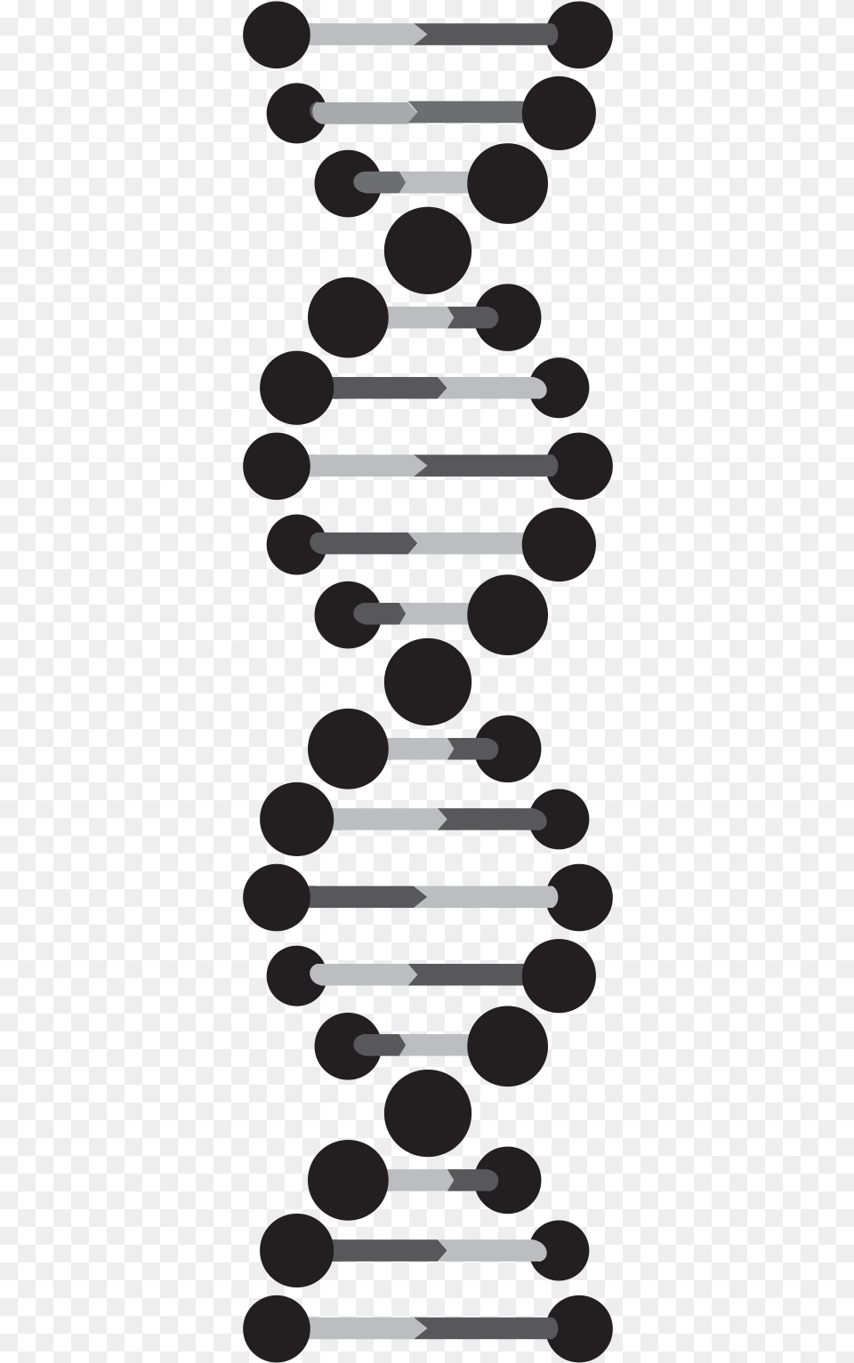 Black And White Dna Strand Download Transparent Background Dna Strand, Cutlery Png Image