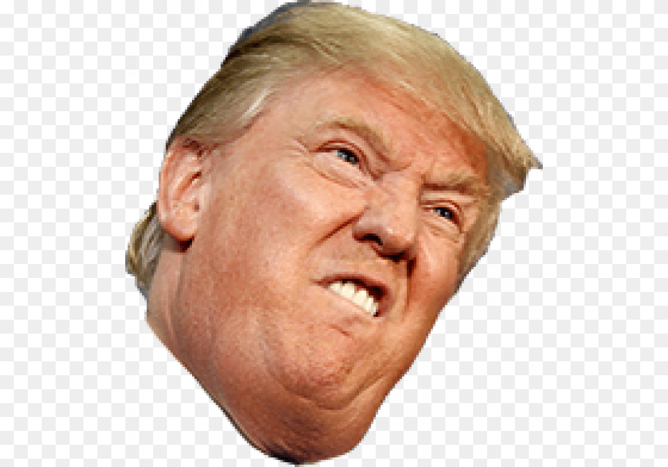 Black And White Donald Trump, Adult, Person, Man, Male Png