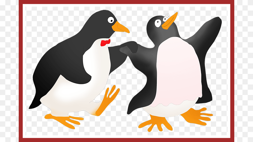 Black And White Appealing Collection Of Drawing Gentoo Penguin, Animal, Bird, Beak Free Png Download